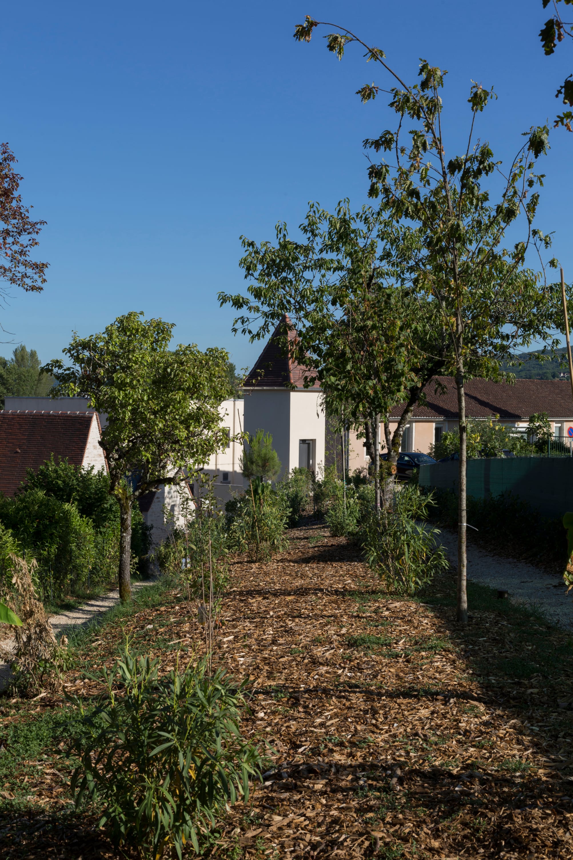 maison borreze park 02